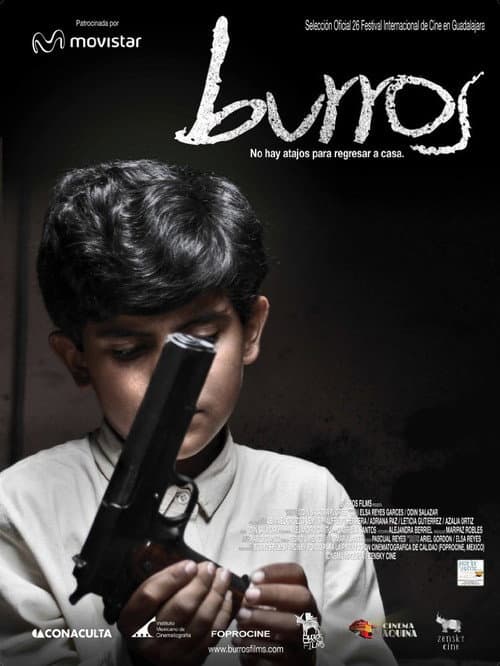 Poster for Burros