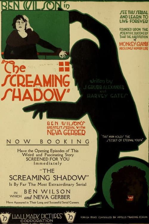 Постер до фільму «The Screaming Shadow»