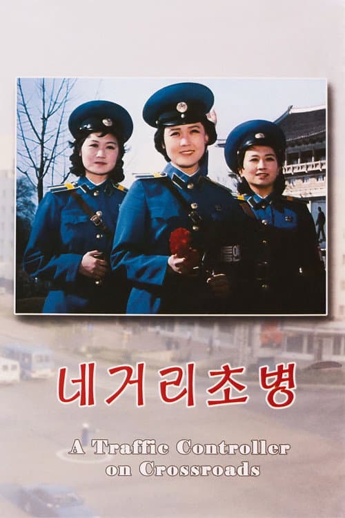 Poster for A Traffic Controller on Crossroads