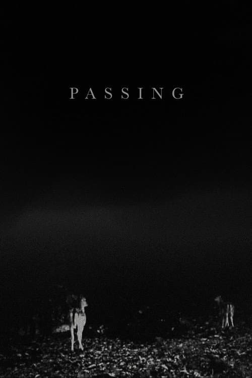 Poster for Passing