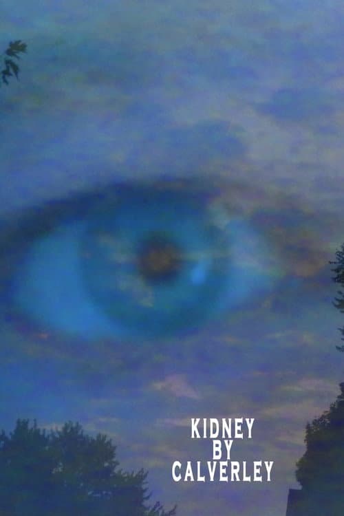 Poster for Kidney By Calverley
