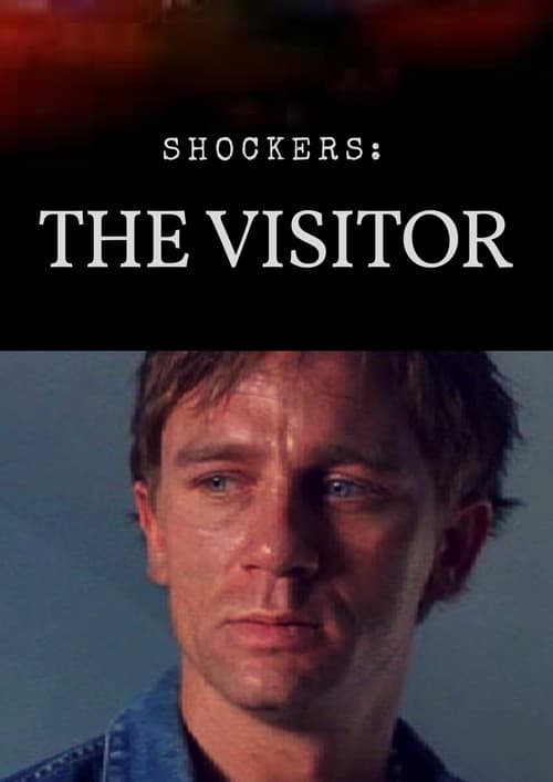 Poster for The Visitor