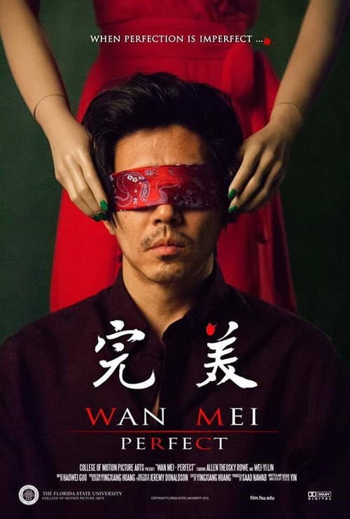 Poster for Perfect
