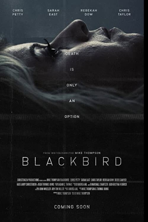 Poster for Blackbird