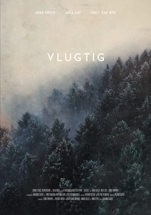 Poster for Briefly