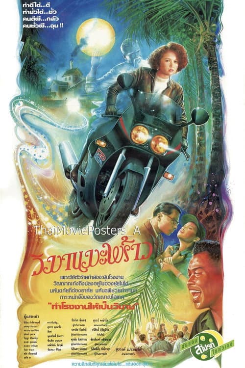 Poster for วิมานมะพร้าว