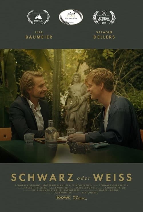 Poster for Schwarz oder Weiss