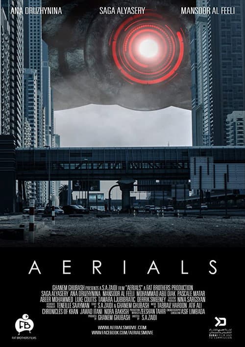 Poster for Aerials