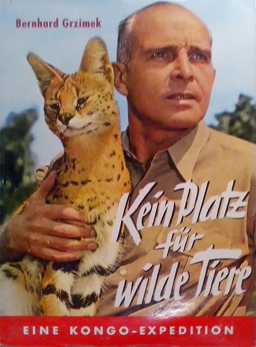 Poster for No Place for Wild Animals