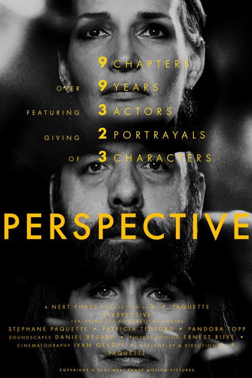 Poster for Perspective