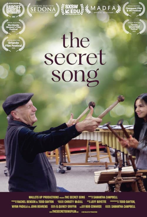Poster for The Secret Song