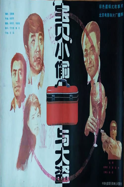 Poster for 宝贝小偷与大盗