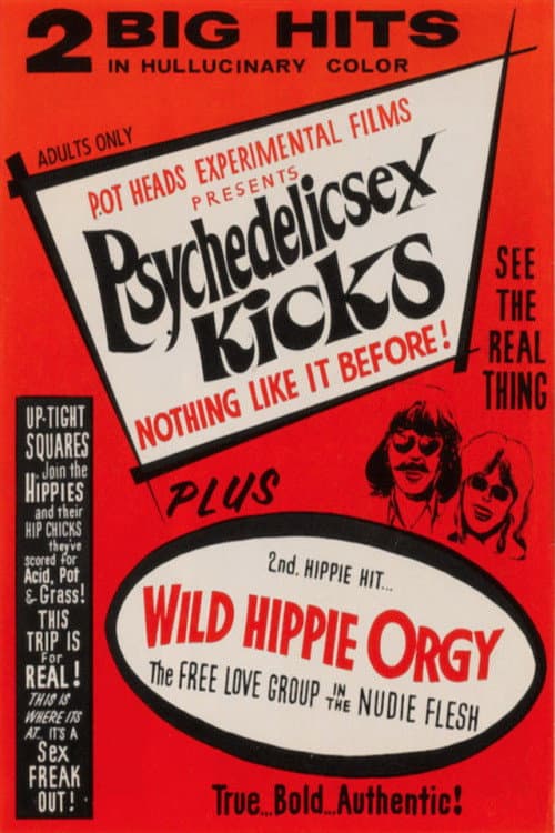 Poster for Wild Hippie Orgy