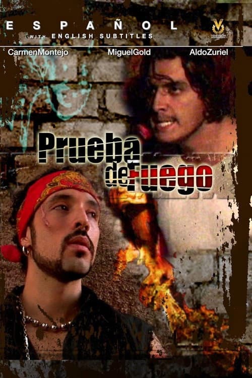 Poster for Las Ladrilleras