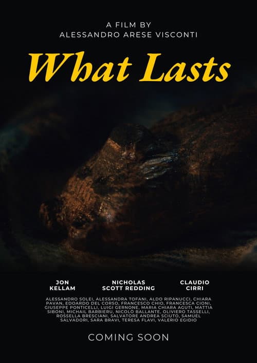 Poster for What Lasts