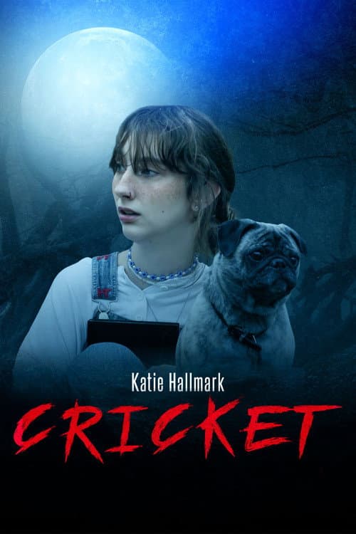 Poster for CRICKET