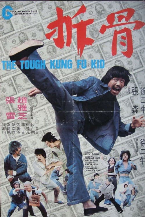 Poster for The Tough Kung Fu Kid