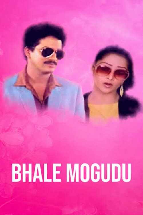Poster for Bhale Mogudu