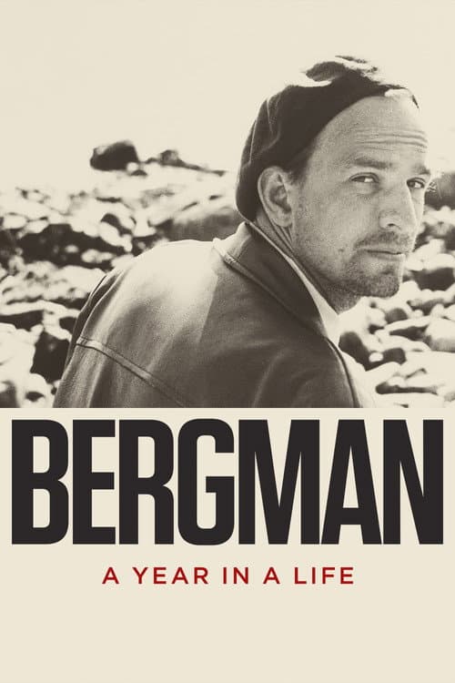 Poster for Bergman: A Year in a Life