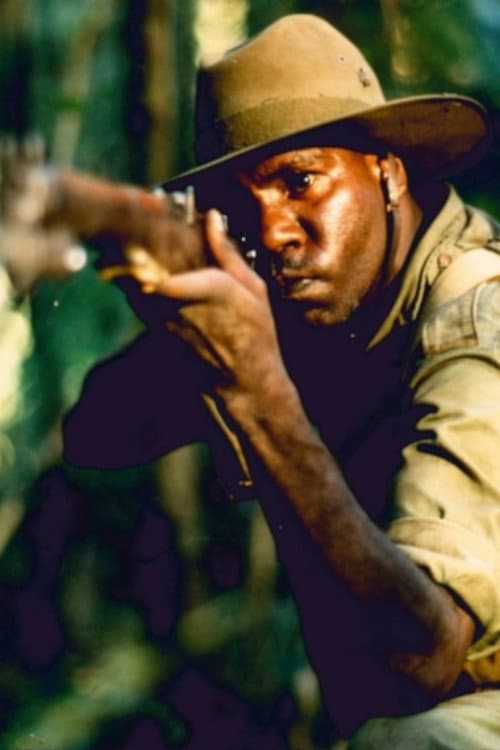 Poster for Harry's War