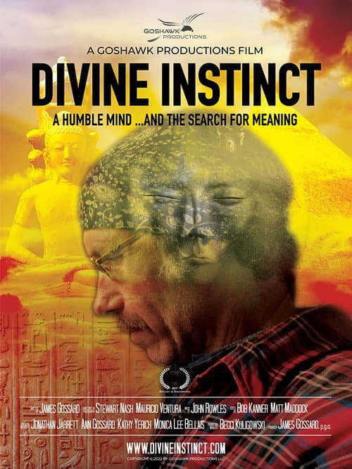 Poster for Divine Instinct