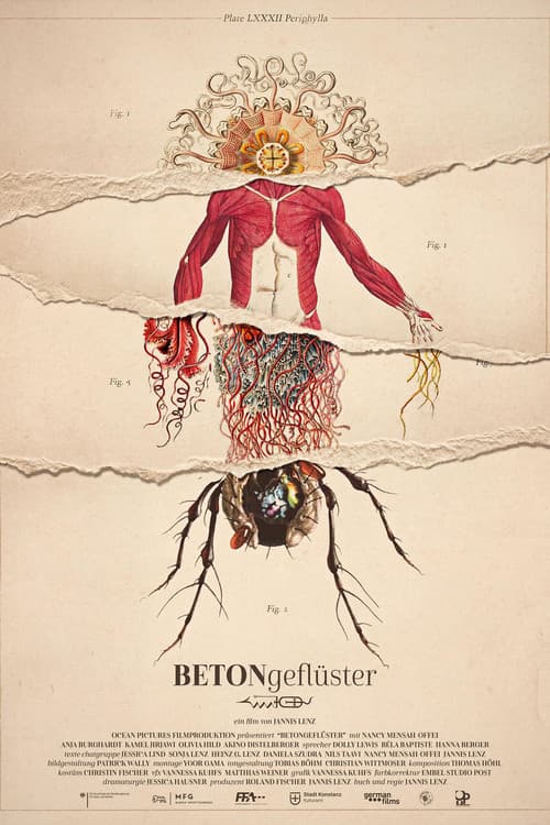 Poster for Concrete Whisper