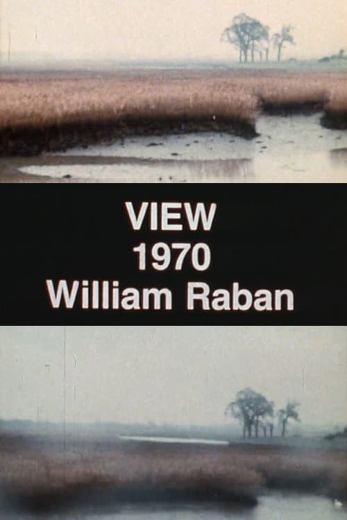 Poster for View