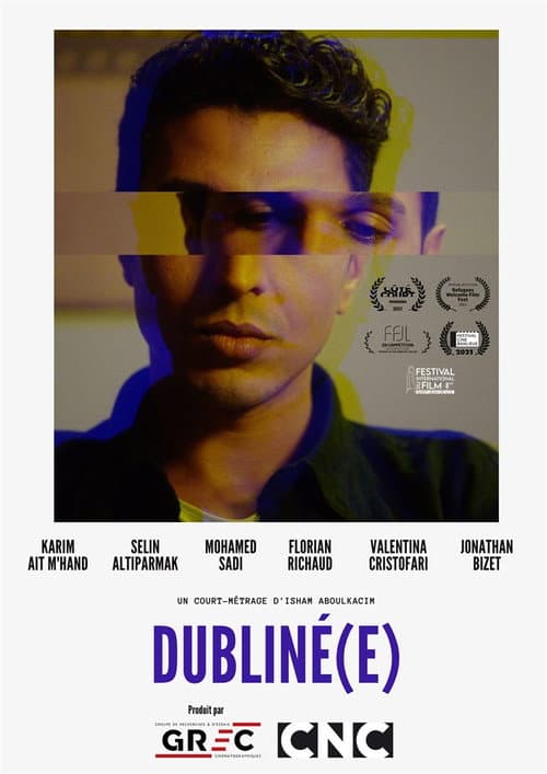 Poster for Dublined