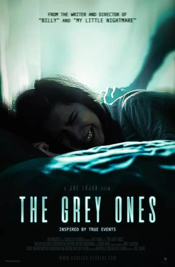 Poster for The Grey Ones