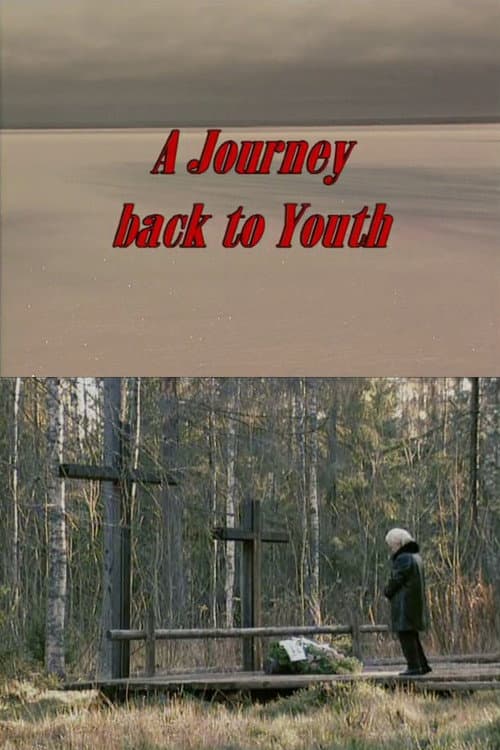 Poster for A Journey Back to Youth