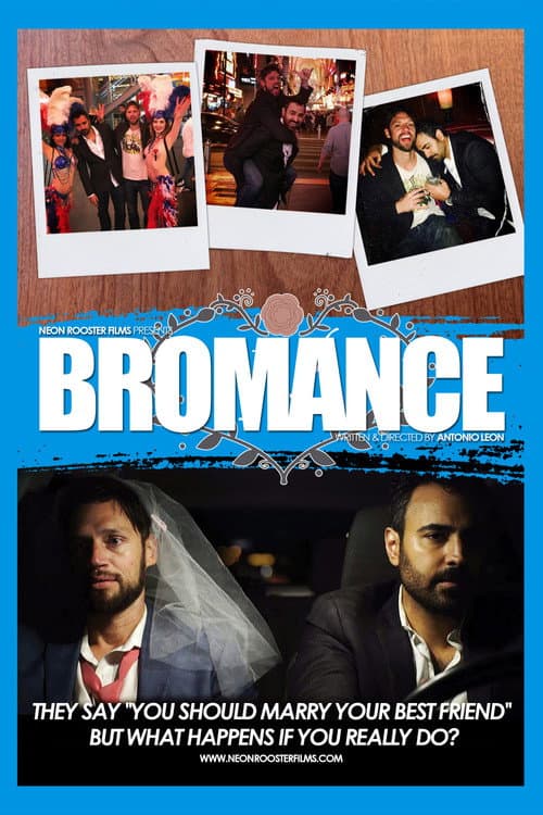Poster for Bromance
