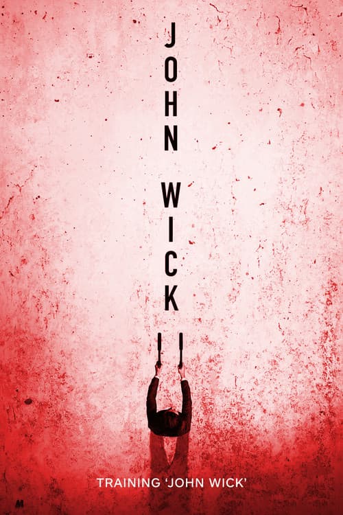 Poster for Training 'John Wick'