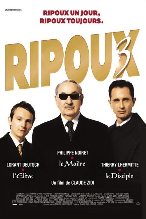 Poster for My New Partner III