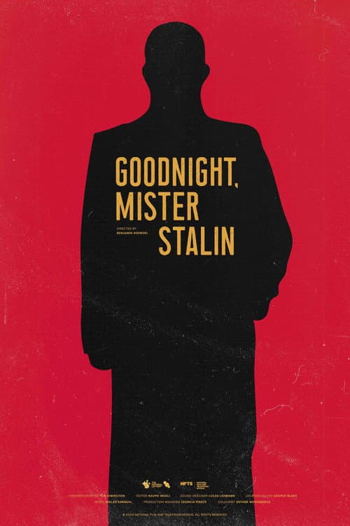 Poster for Goodnight, Mister Stalin