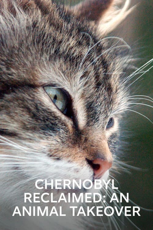 Poster for Chernobyl Reclaimed: An Animal Takeover