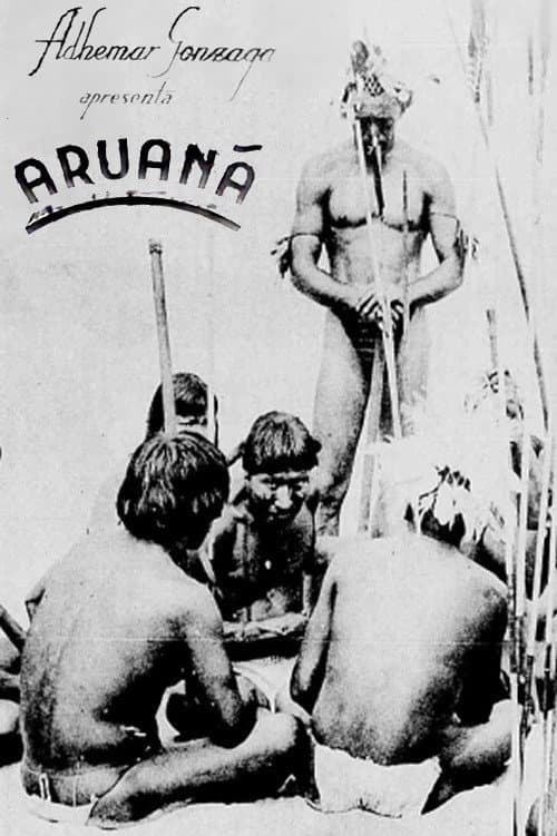 Poster for Aruanã
