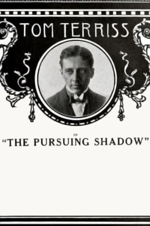 Poster for The Pursuing Shadow