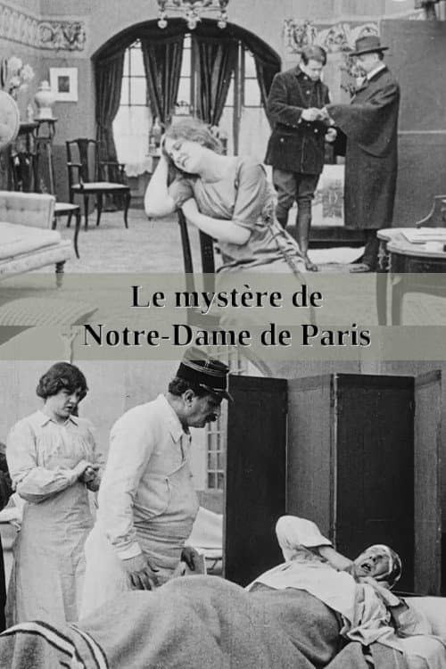Постер до фільму «The Mystery of Notre-Dame de Paris»