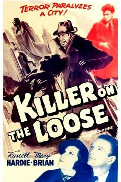 Poster for Killer at Large