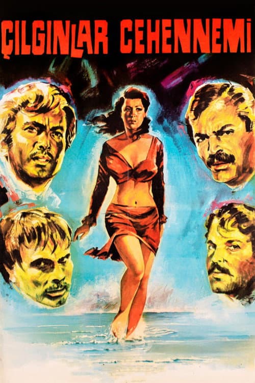 Poster for Çılgınlar Cehennemi
