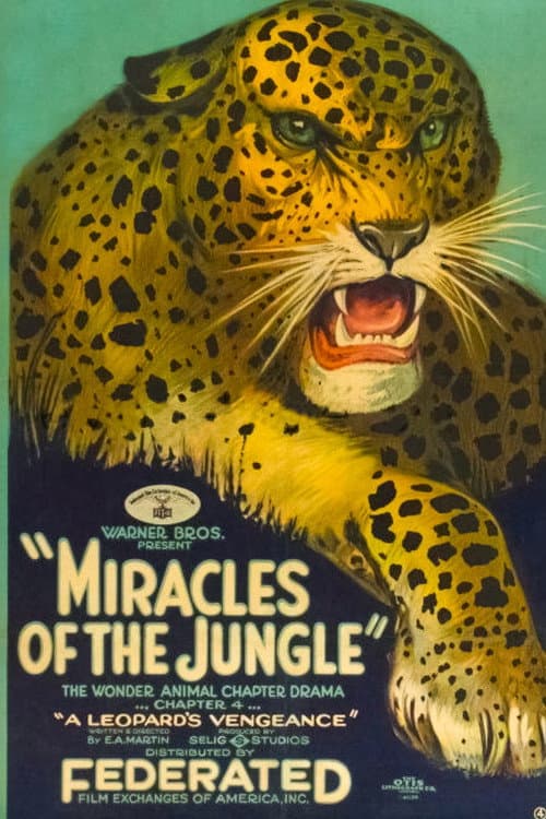Постер до фільму «Miracles of the Jungle»