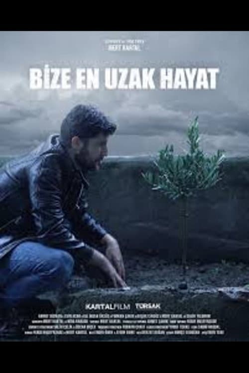 Poster for Bize En Uzak Hayat