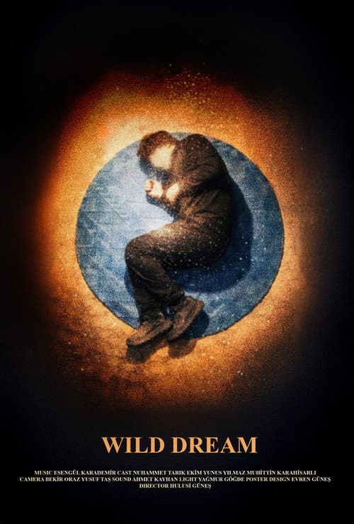 Poster for Yaban Düşü