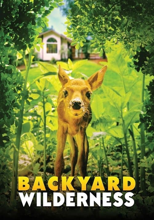 Poster for Backyard Wilderness