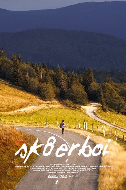 Poster for Sk8erboi