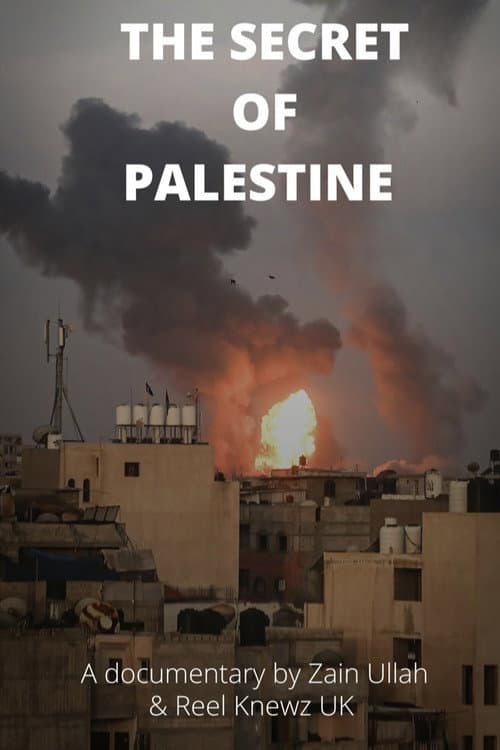 Постер до фільму «The Secret of Palestine»