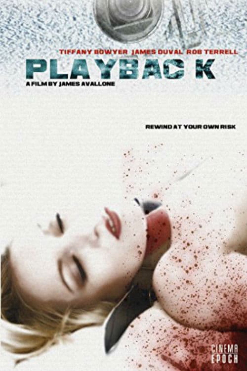 Poster for Playback