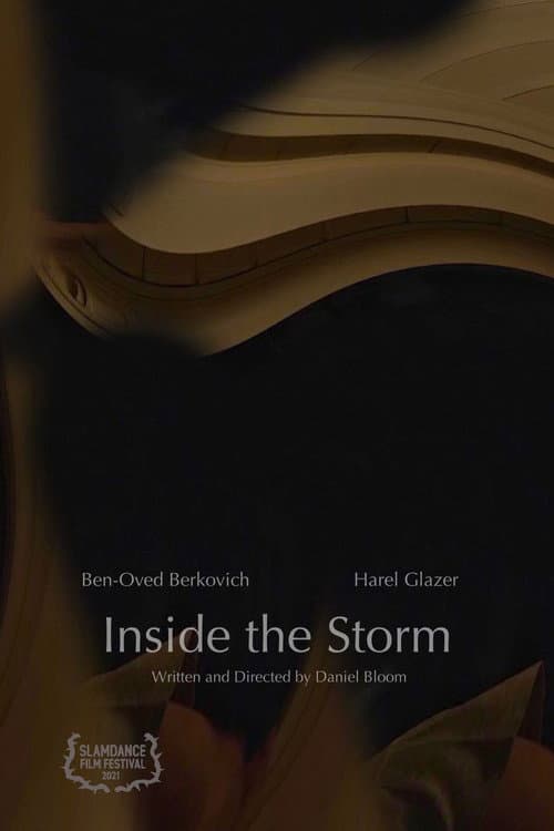 Poster for Inside the Storm