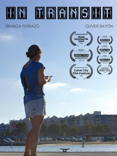 Poster for In Transit