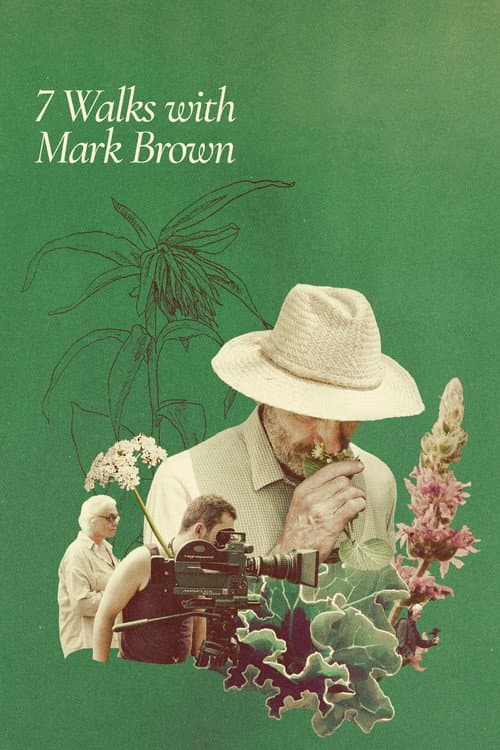Poster for 7 Walks with Mark Brown
